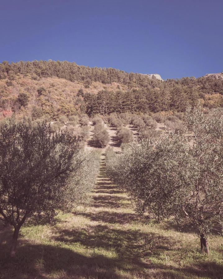 Agriturismo Querceto Mocaiana ภายนอก รูปภาพ