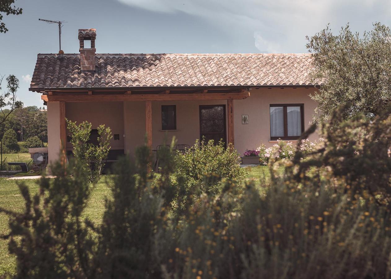 Agriturismo Querceto Mocaiana ภายนอก รูปภาพ